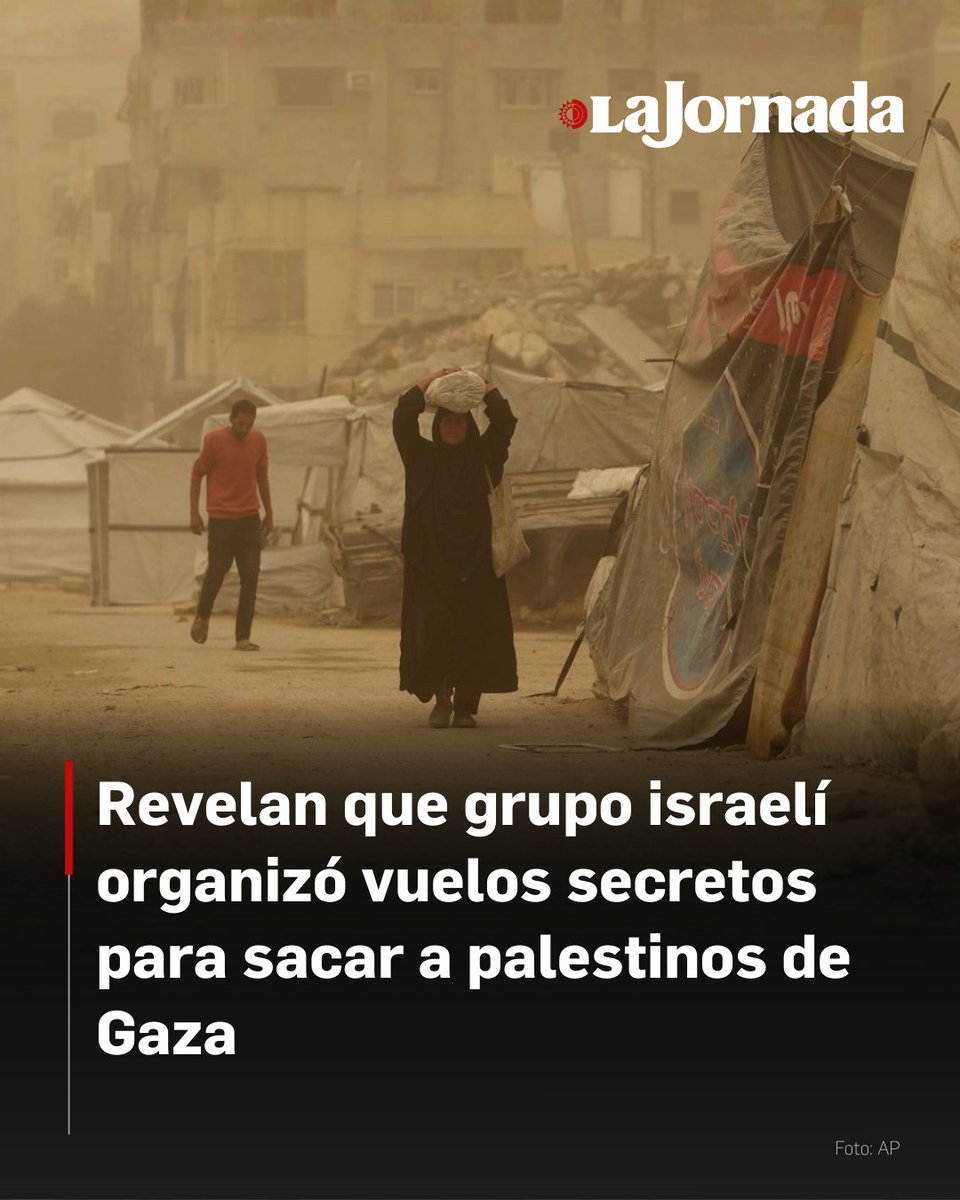 La Jornada tweet media