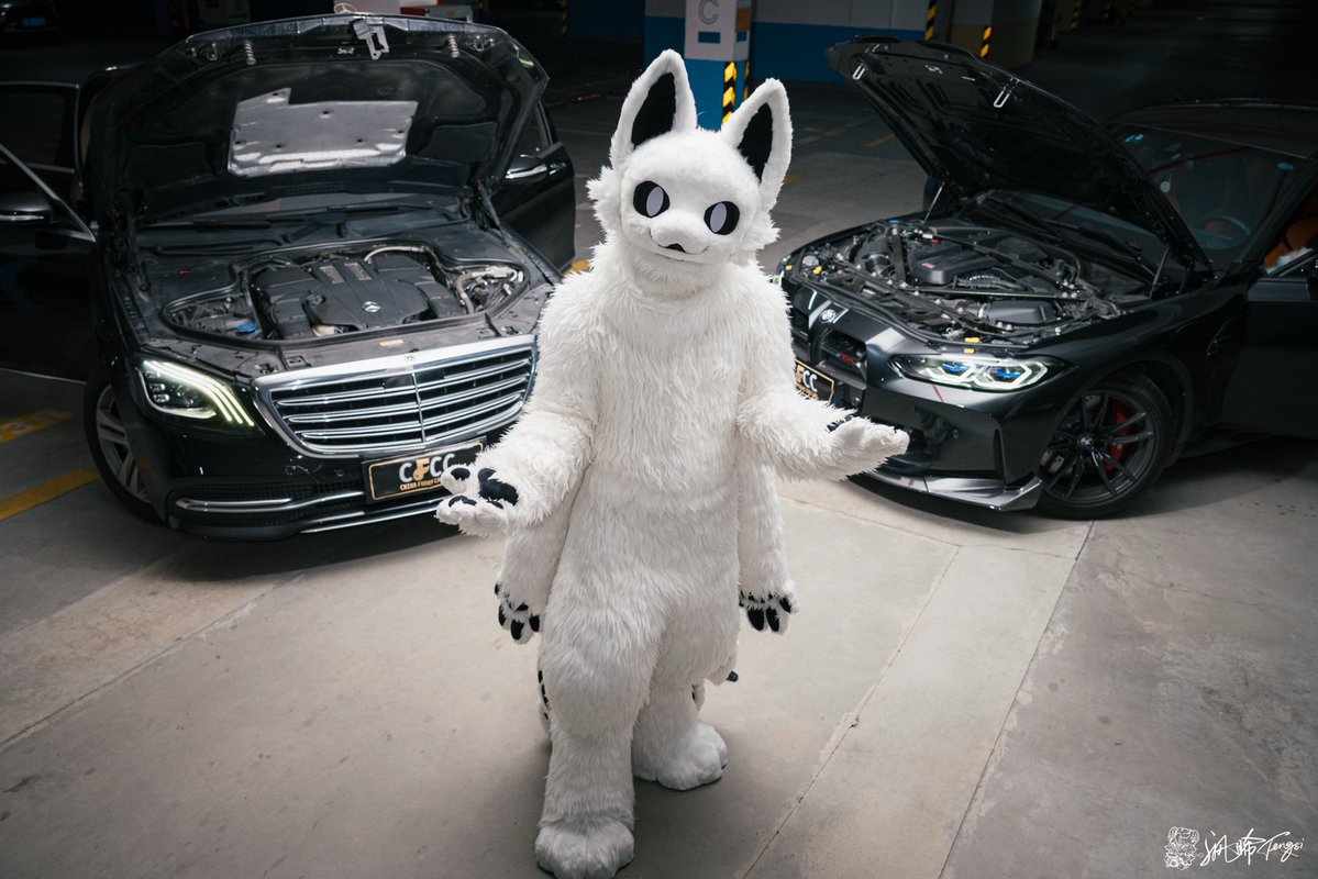 半岛柿子喵 tweet media