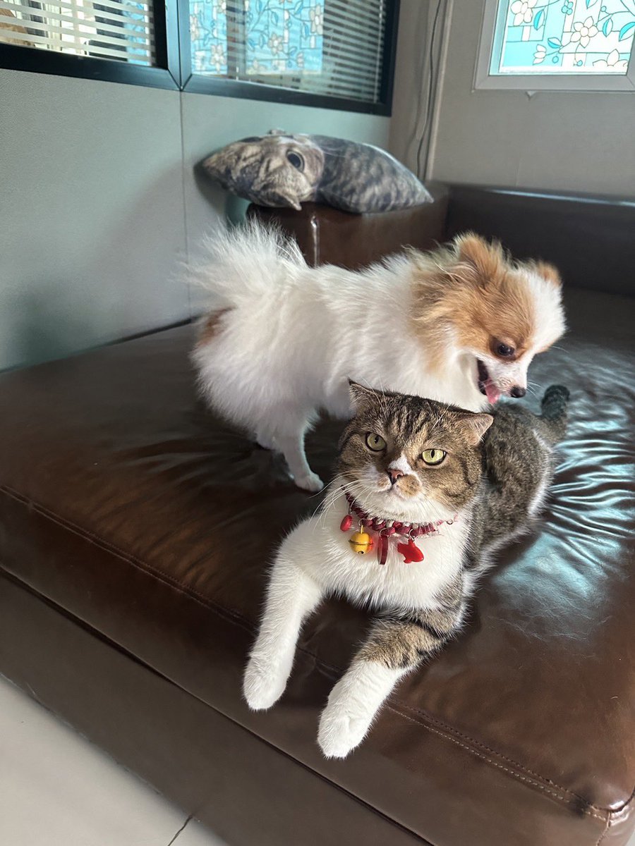 Athenswerapat (@athenswerapat) on Twitter photo 