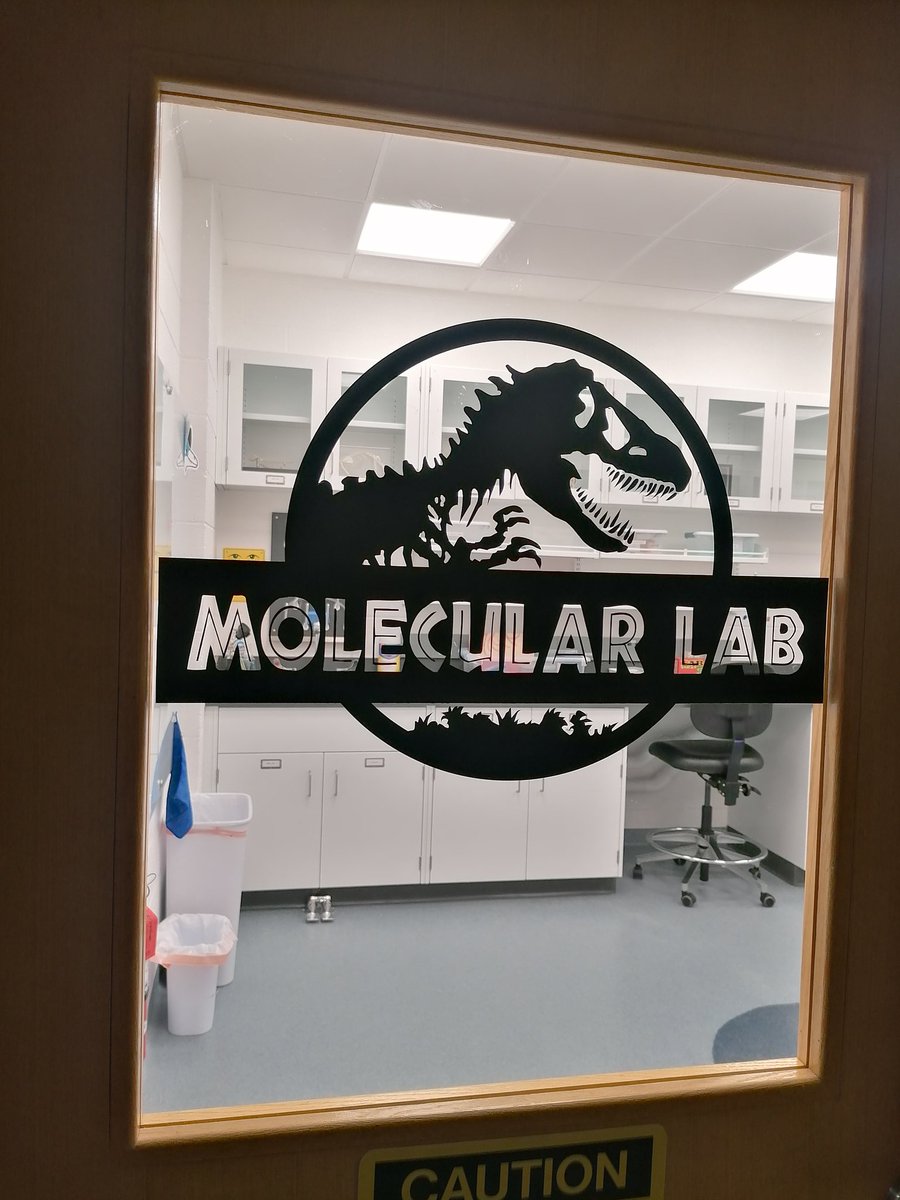 Dr. Jasmina Wiemann tweet media