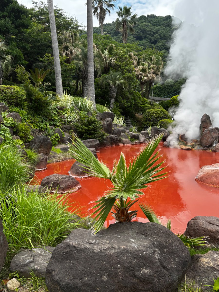 Mak🐬 STATIC 🔴 | TIDES🌊 tweet media