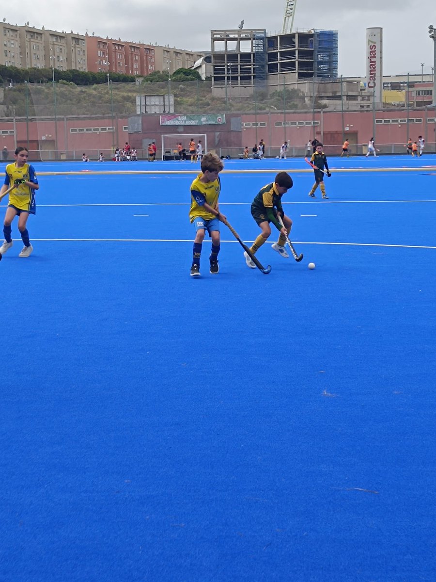 U. D. Taburiente tweet media