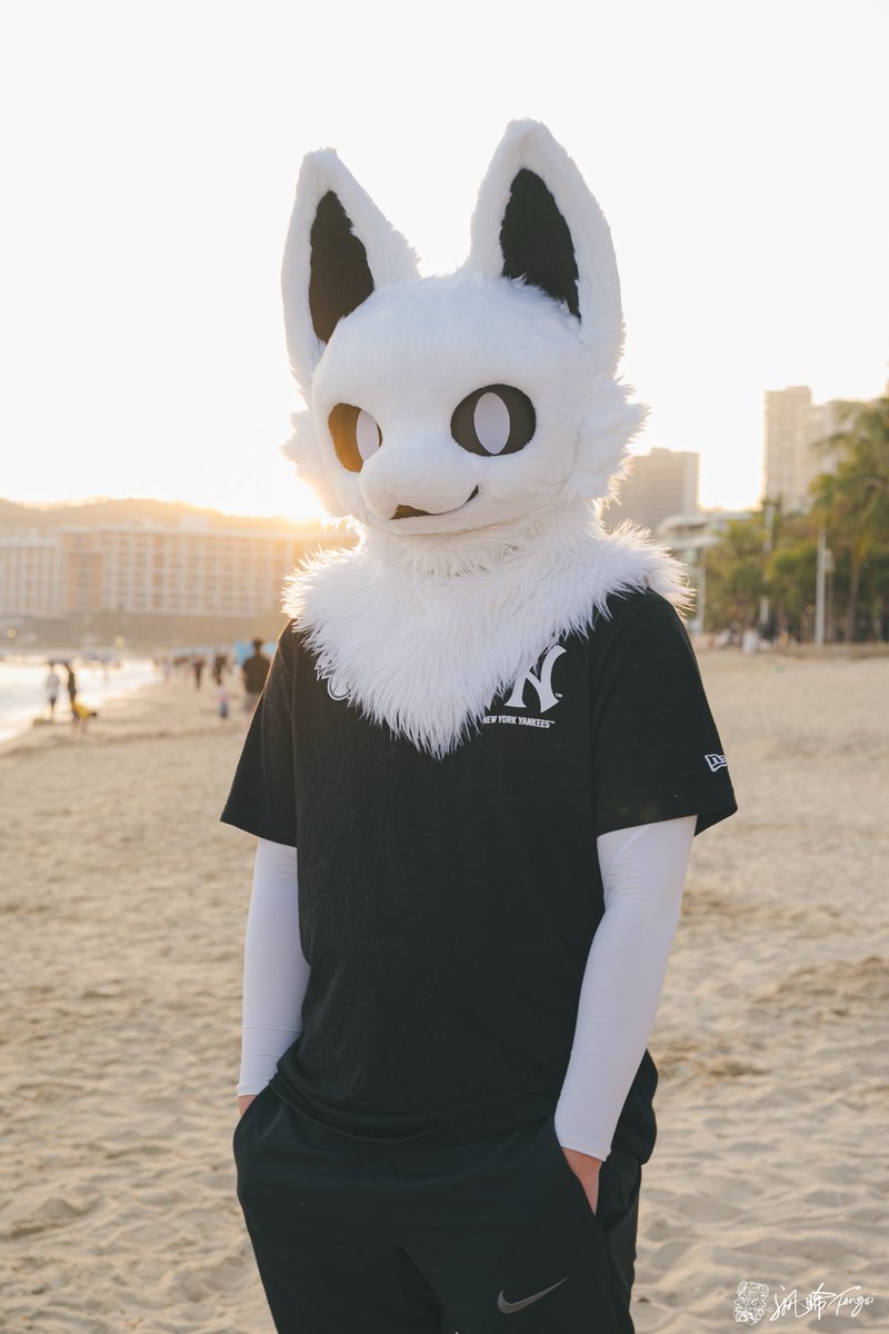 半岛柿子喵 tweet media