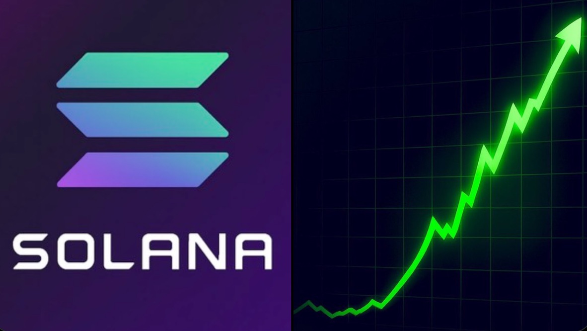 curb.sol tweet media