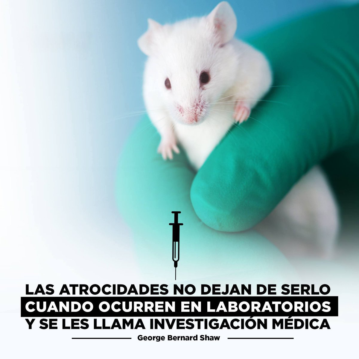 Filosofía Vegana tweet media