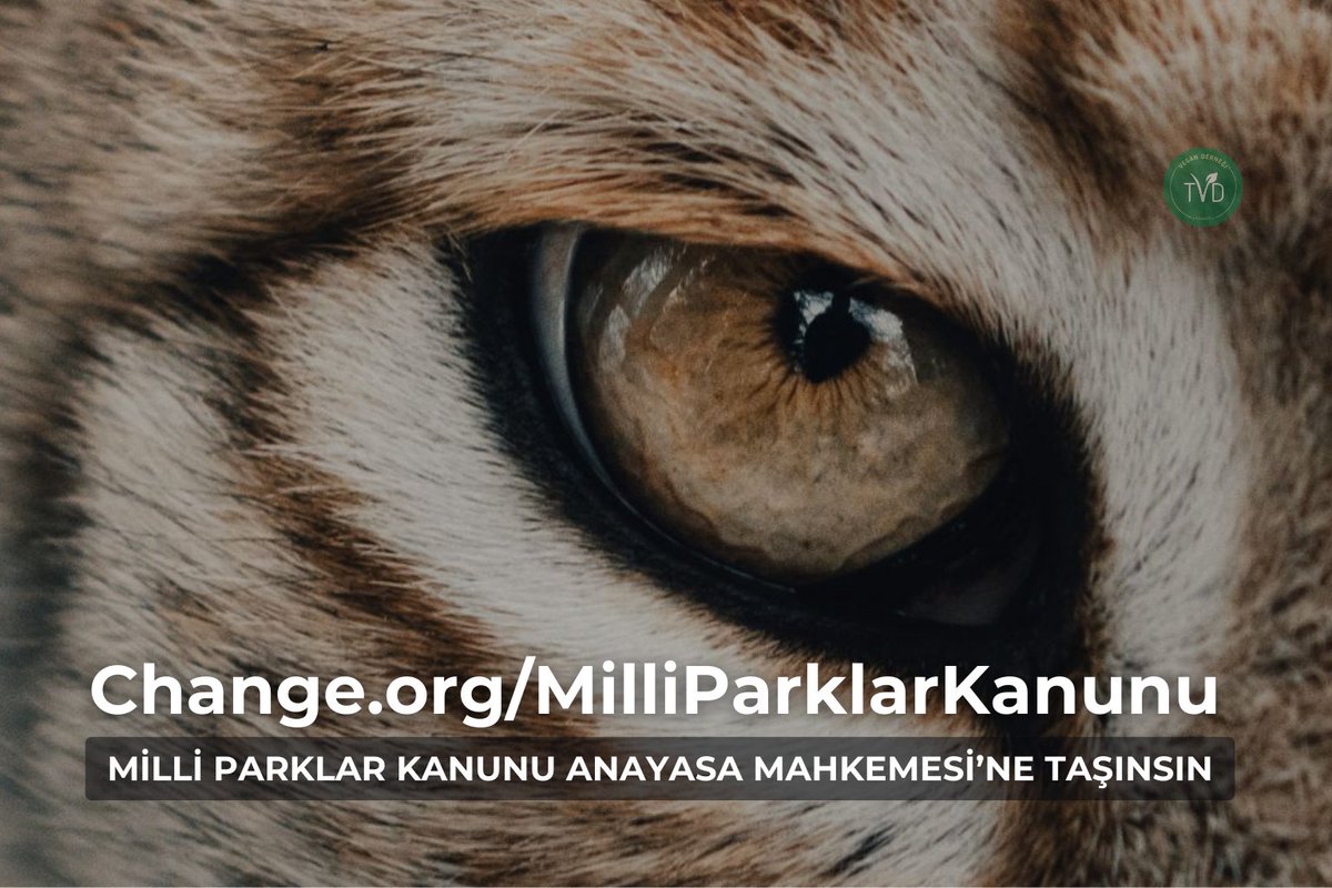 Vegan Derneği Türkiye tweet media