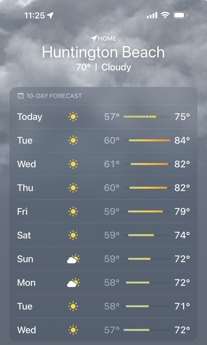 Megan McIntosh 🦬❤️💙 tweet media