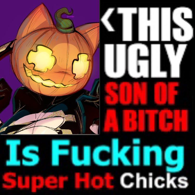 gold pumpkin cat lady 🧡 tweet media