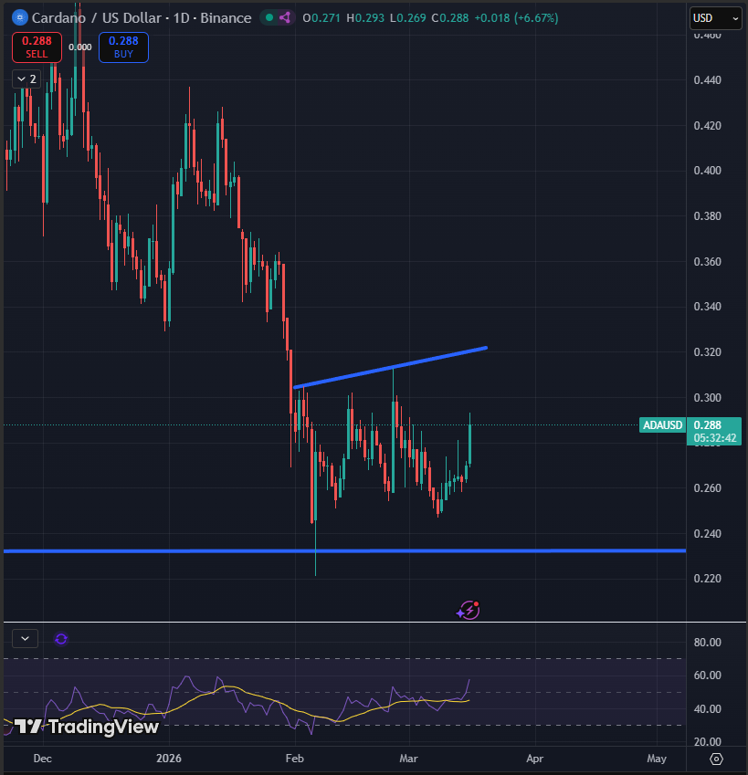 Sssebi🦁 tweet media
