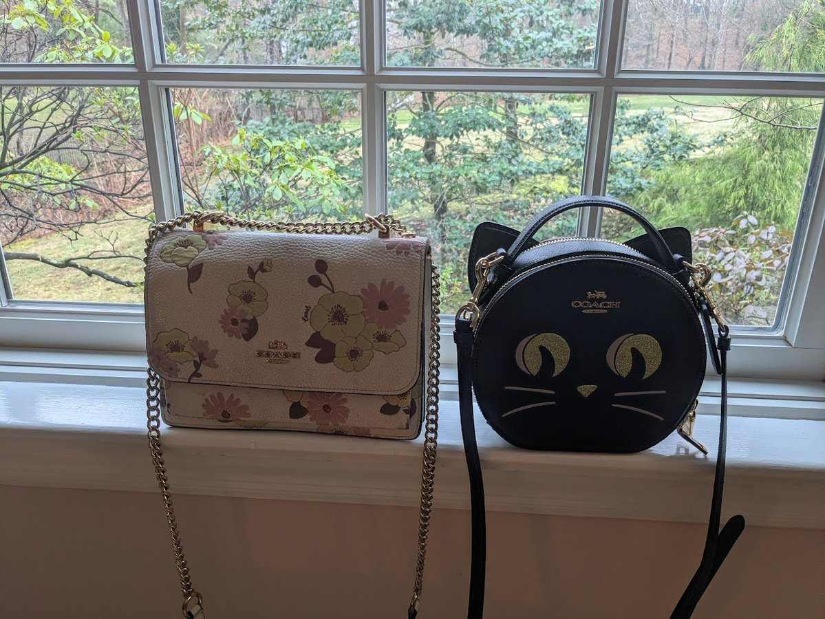 Suzanne Campbell tweet media