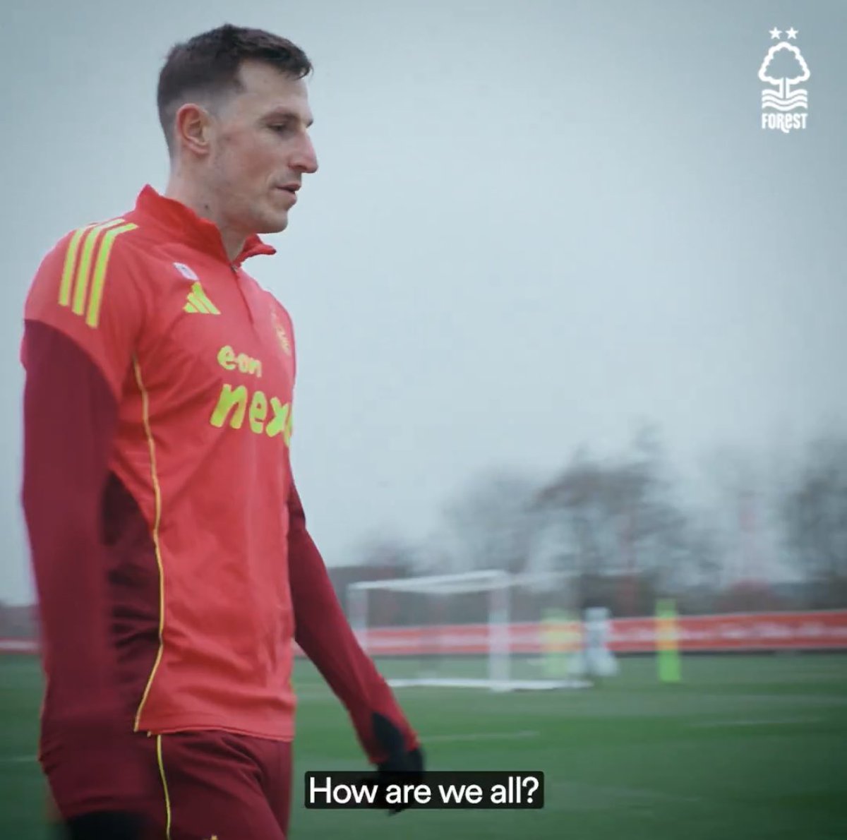 CityGroundShelf tweet media