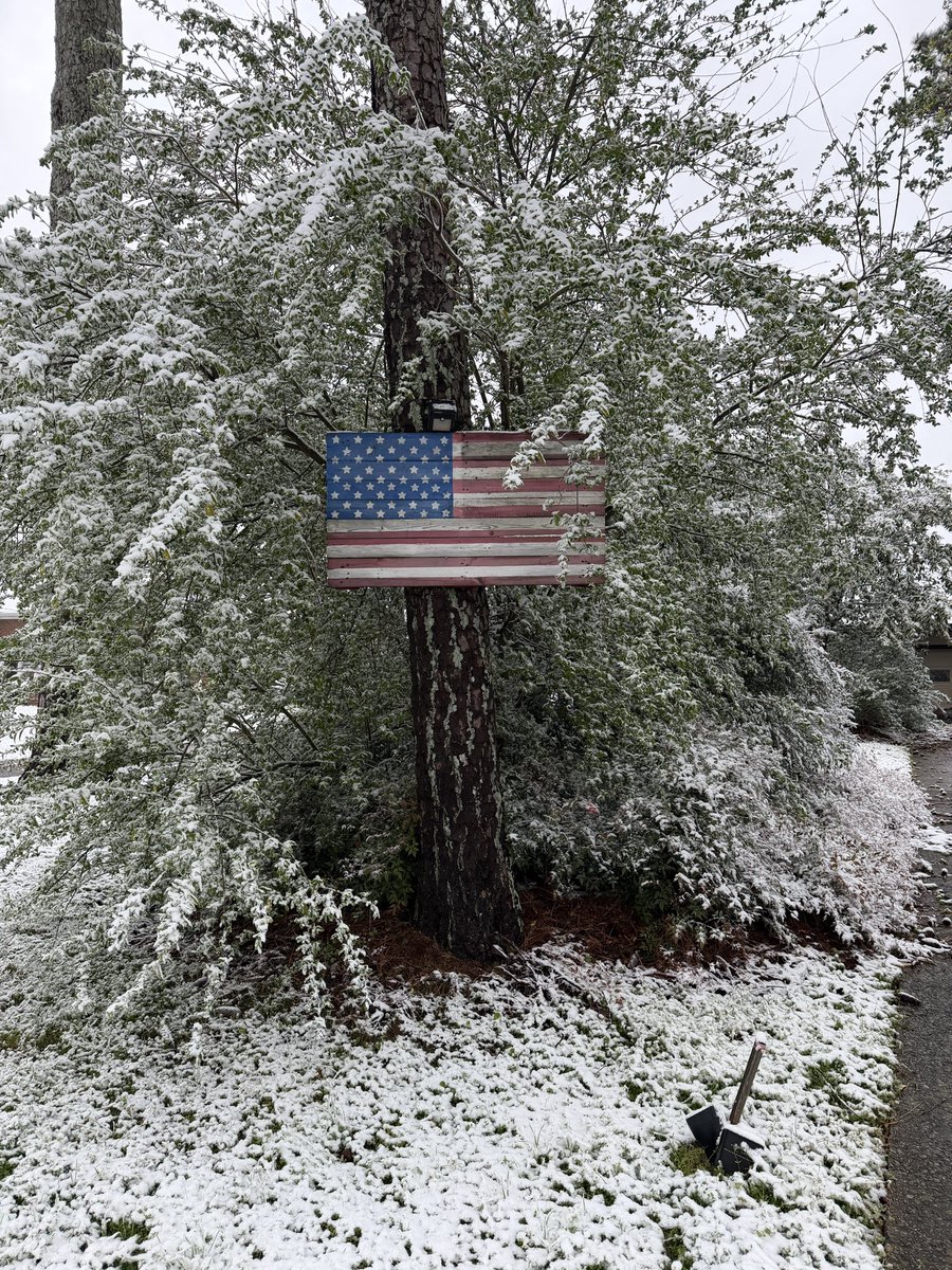 MaryCarol63's tweet photo. Crazy weather in Hoover, AL today! @spann https://t.co/2gaOWGtkc1