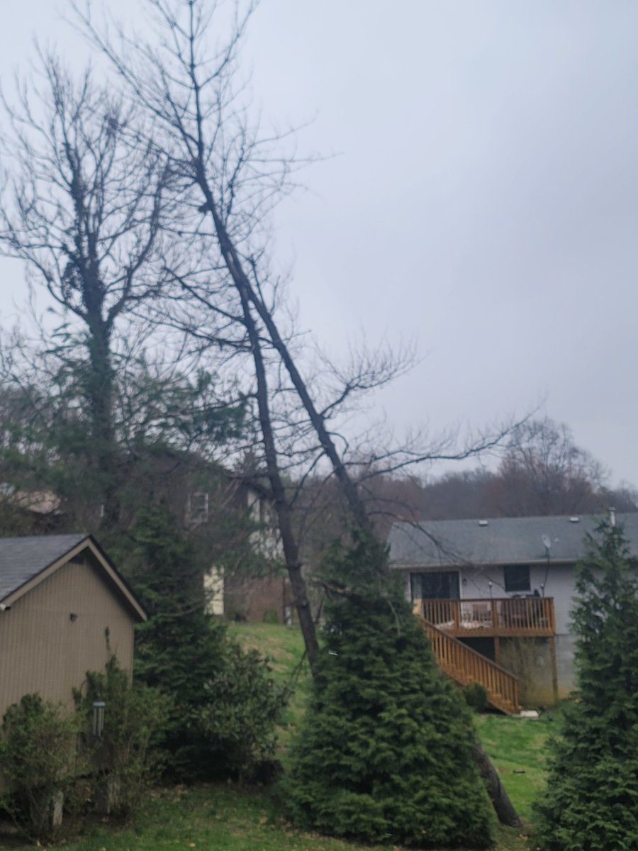 Horror Fan Ryan👻💀🧟‍♂️🎃🎃 tweet media