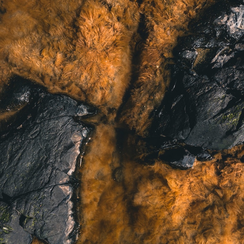 Frequency State tweet media