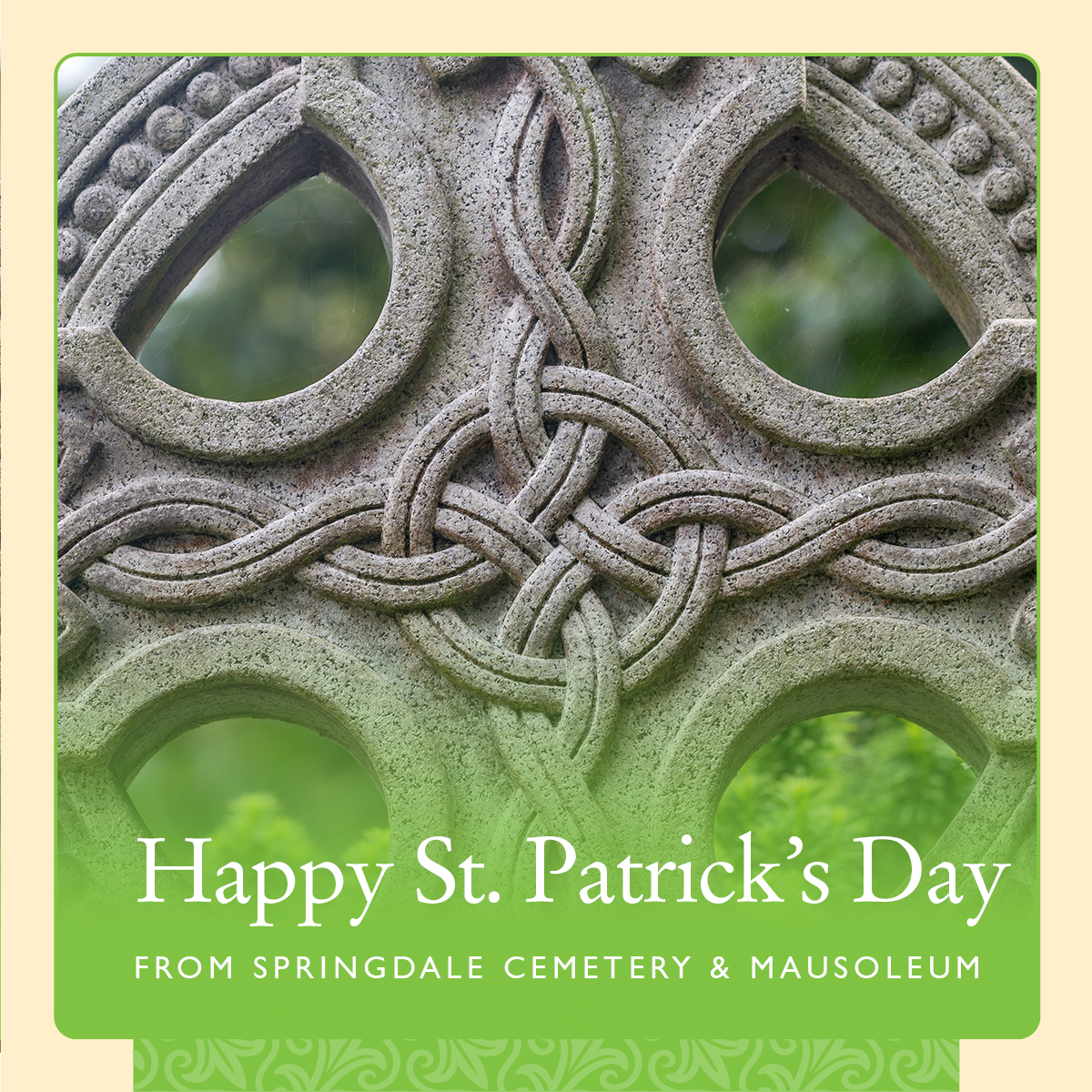 Springdale Cemetery tweet media