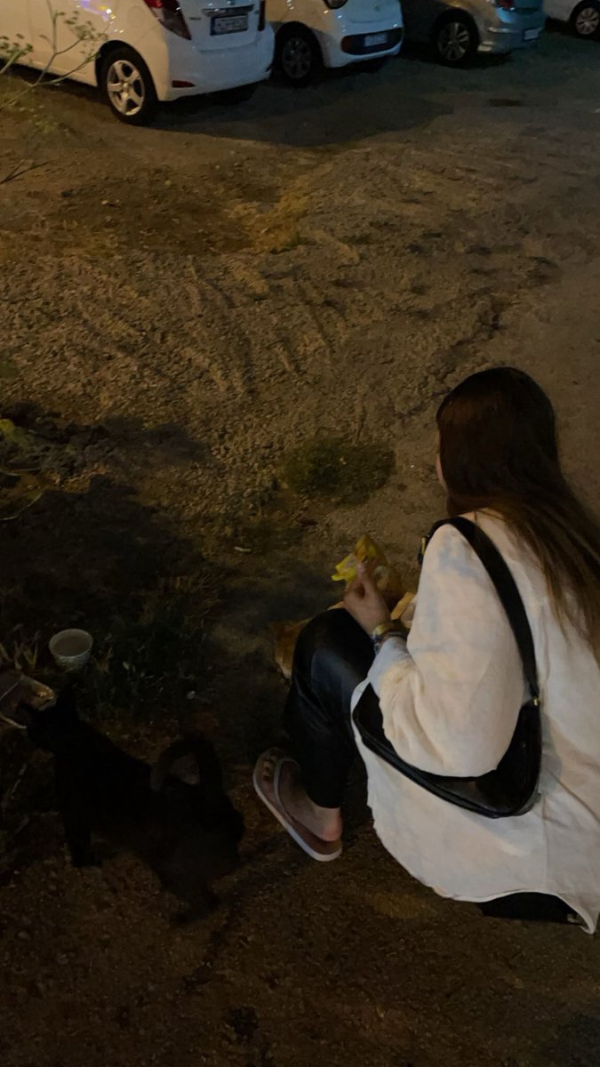 V̴T̴⚜️🪐 tweet media