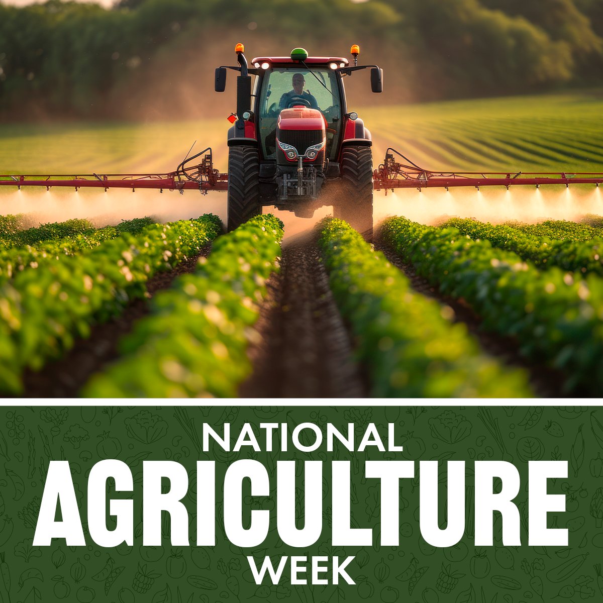 Senator Chris Gebhard tweet media