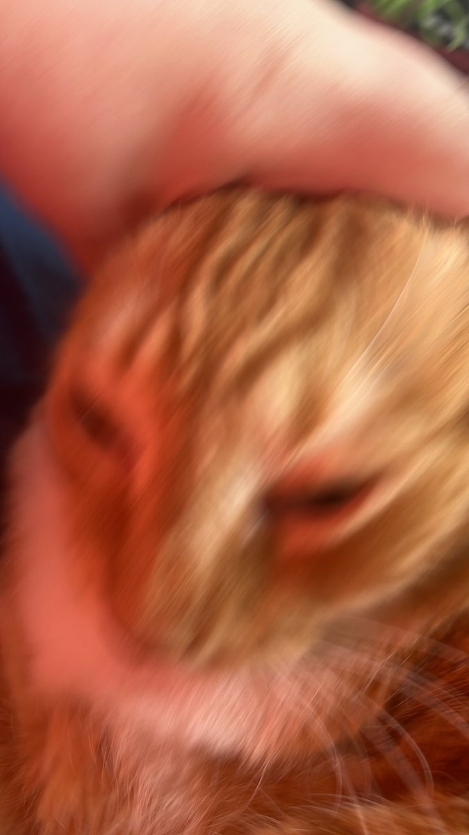 catrick swayze & donnie tweet media