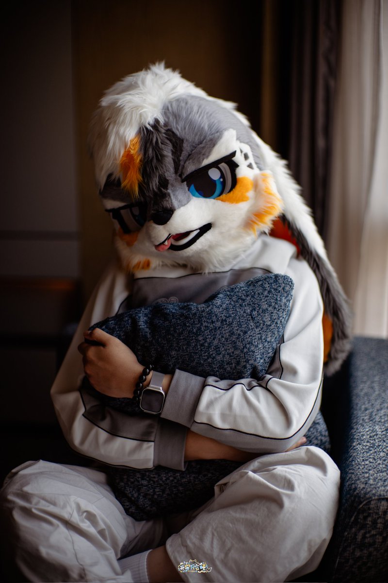 Rabbit Momo tweet media