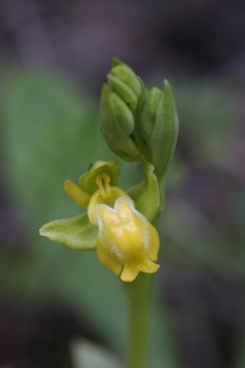 Jon Dunn 🇺🇦 tweet media