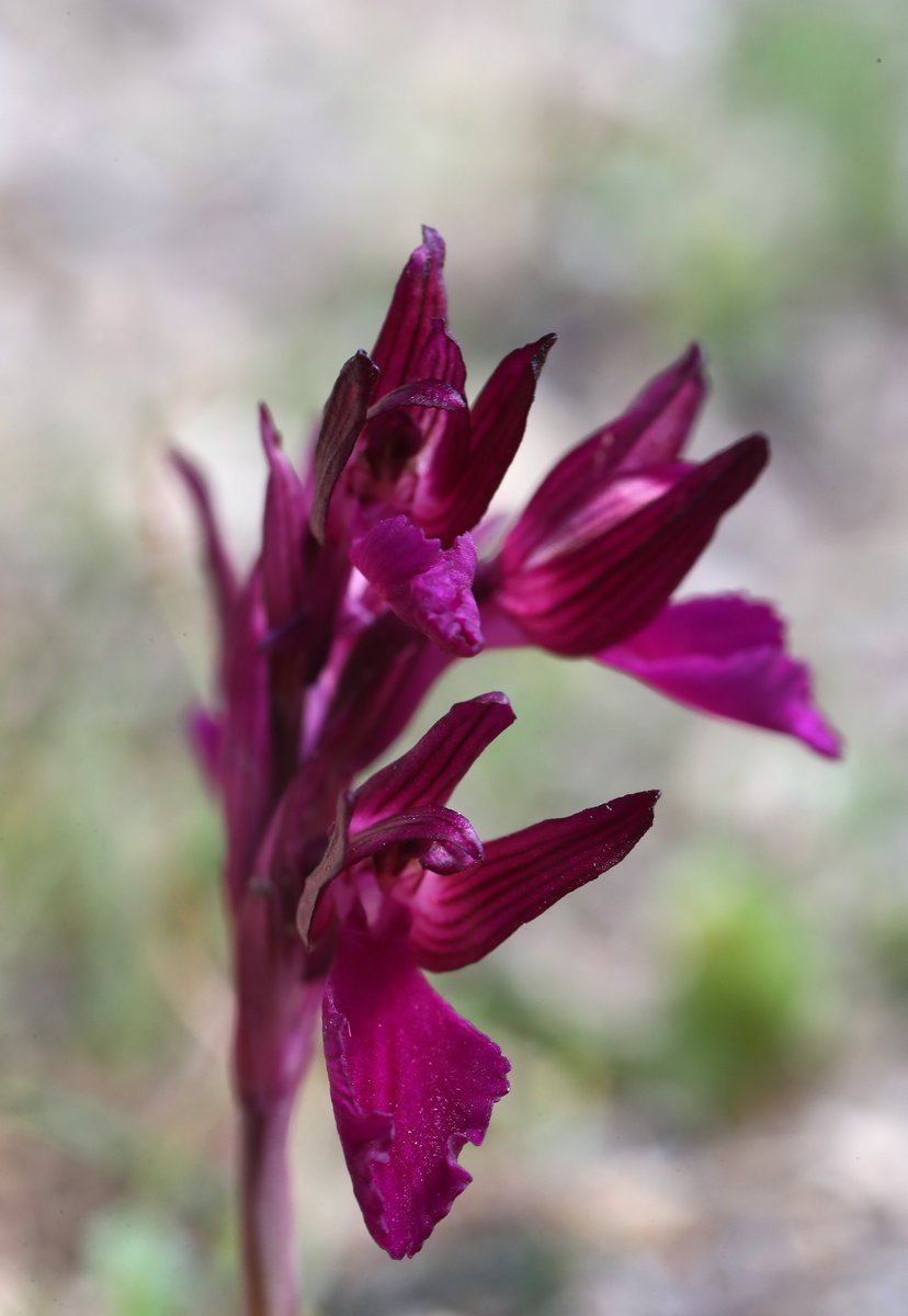 Jon Dunn 🇺🇦 tweet media