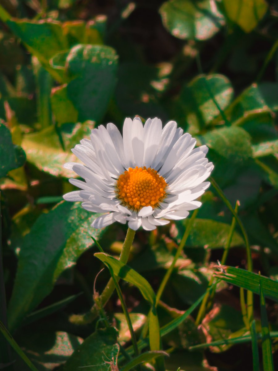 Mattia giglio tweet media