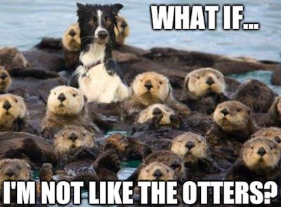 Donald Wilson 🇨🇦 tweet media