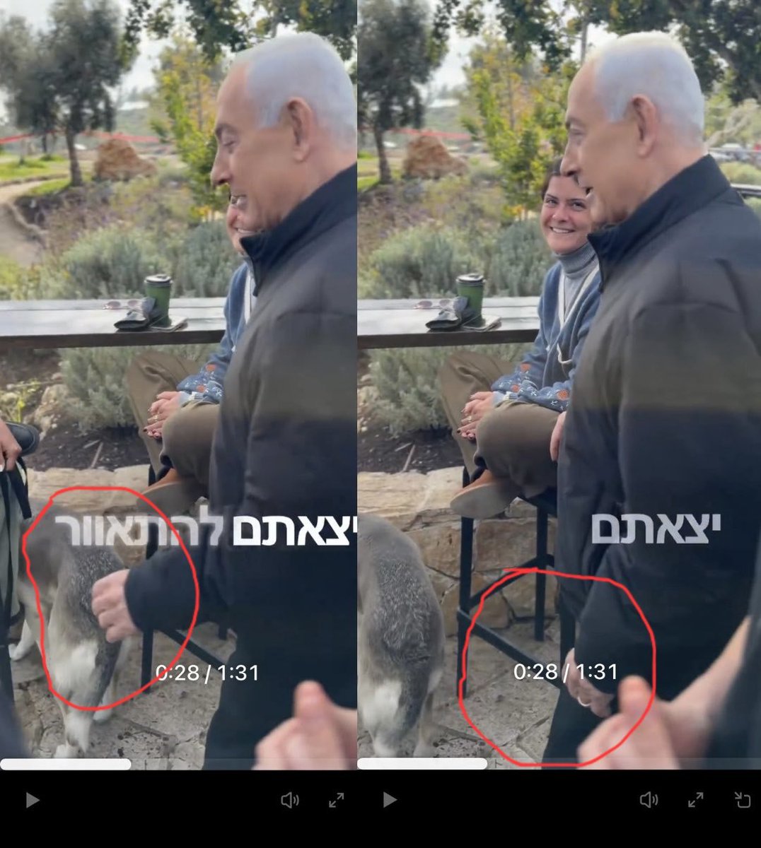 USA Snapshot tweet media