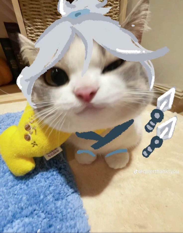 Konkeriz tweet media