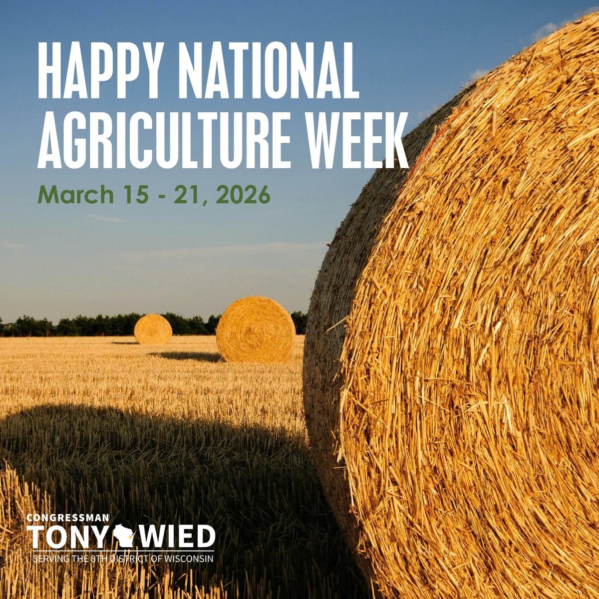 Rep. Tony Wied tweet media