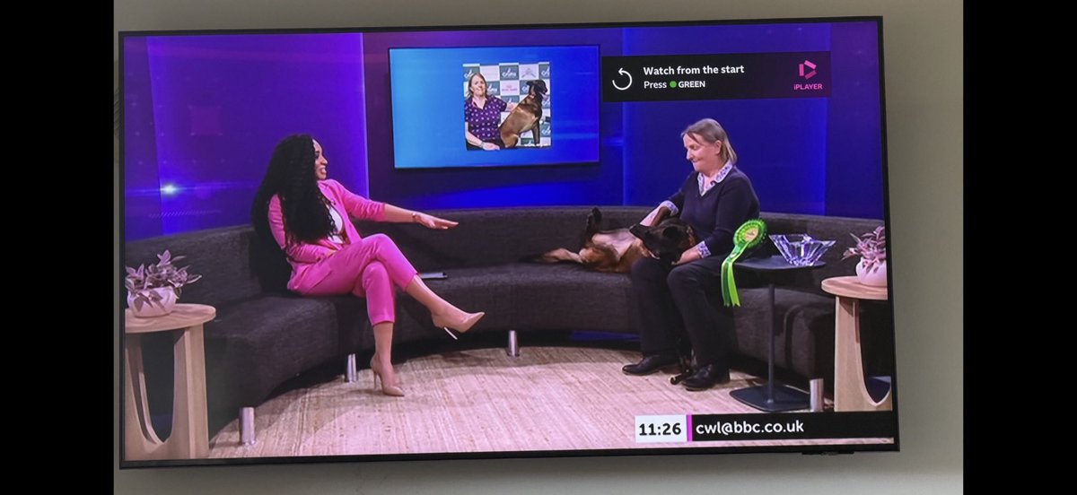 Chappers 🐾🐝 🙋‍♀️ tweet media