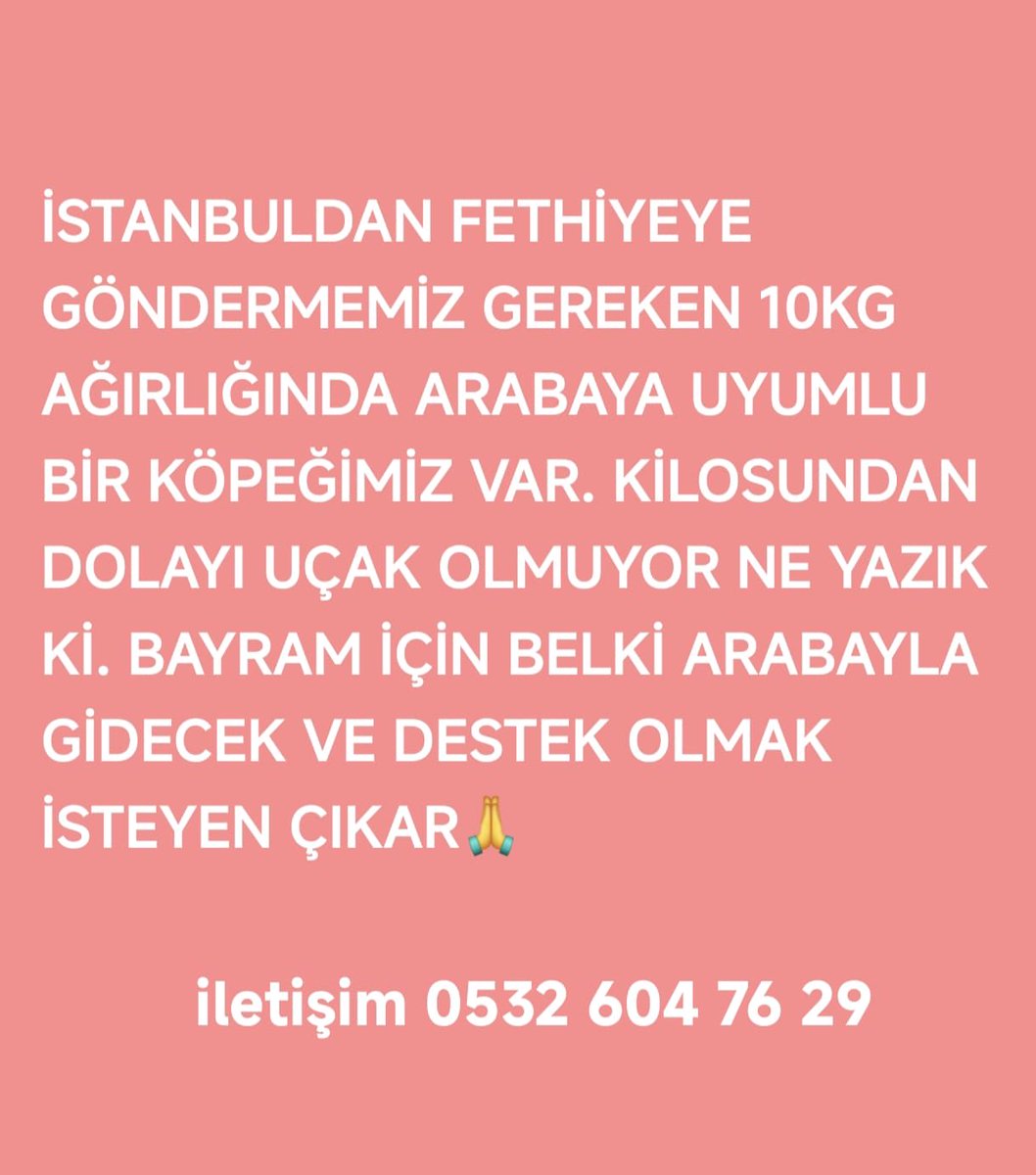 DİLŞAD ERYILMAZ (@dilsad68) on Twitter photo 