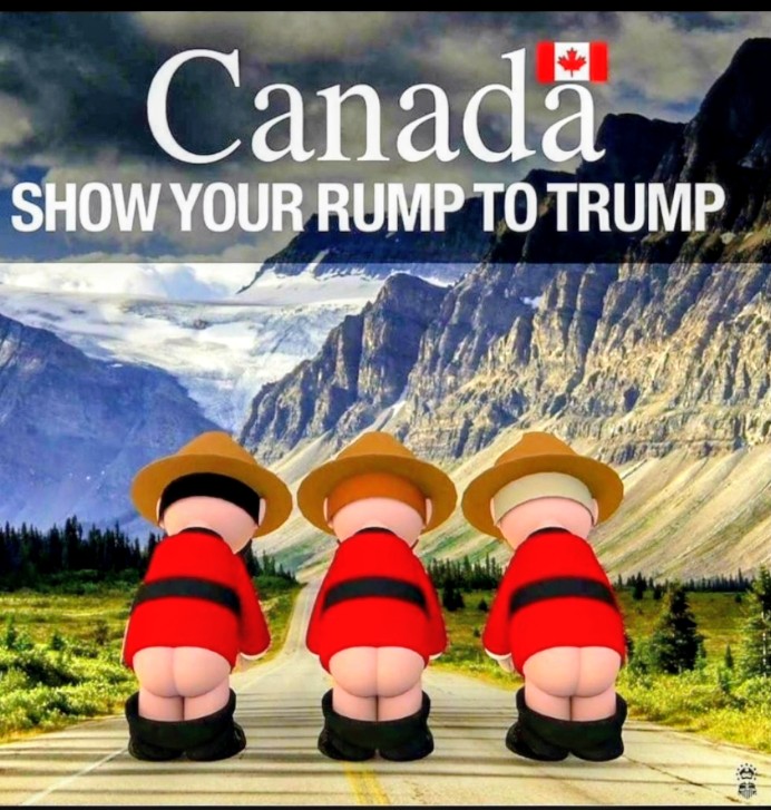 vaxxednotwaxxed's tweet photo. @MaryLTrump @realDark_Star He gave 🇨🇦 no choice Mary....he threatened us.. belittled our PMs...mocked us.. we've always been a great friend to the 🇺🇸...but there's only so much disrespect we  Canadians can/should endure...🤷‍♀️ https://t.co/yZy4ygTQw5