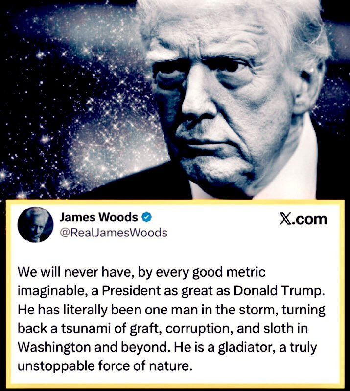 .<a href="/RealJamesWoods/">James Woods</a>  nailed it—Trump’s been fighting the deep state alone like a true legend. One man against the entire corrupt machine, and he’s still standing tall. 
Greatest president in our lifetime, hands down. 
Who’s with me? 🔥🇺🇸

“We will never have, by every good metric