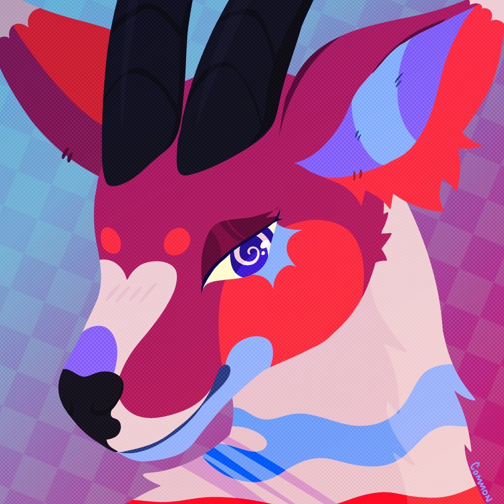 ✶ COMMON ✶ tweet media