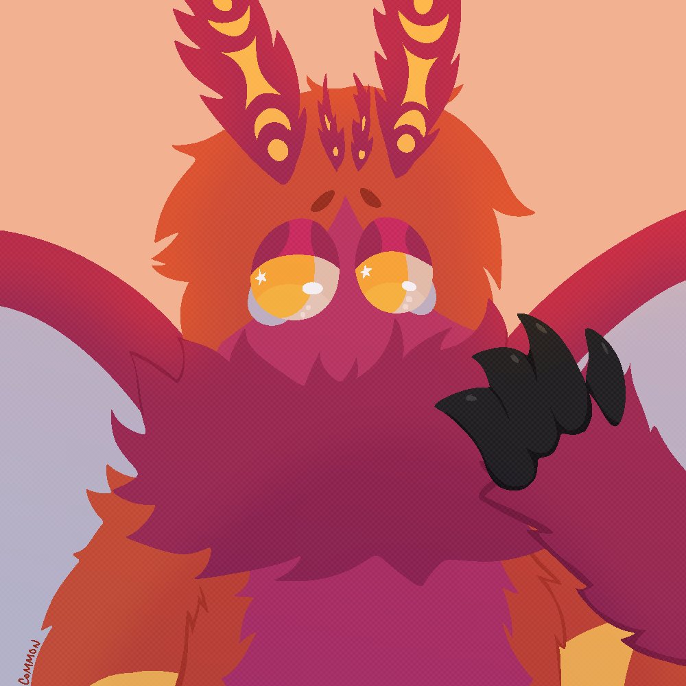 ✶ COMMON ✶ tweet media