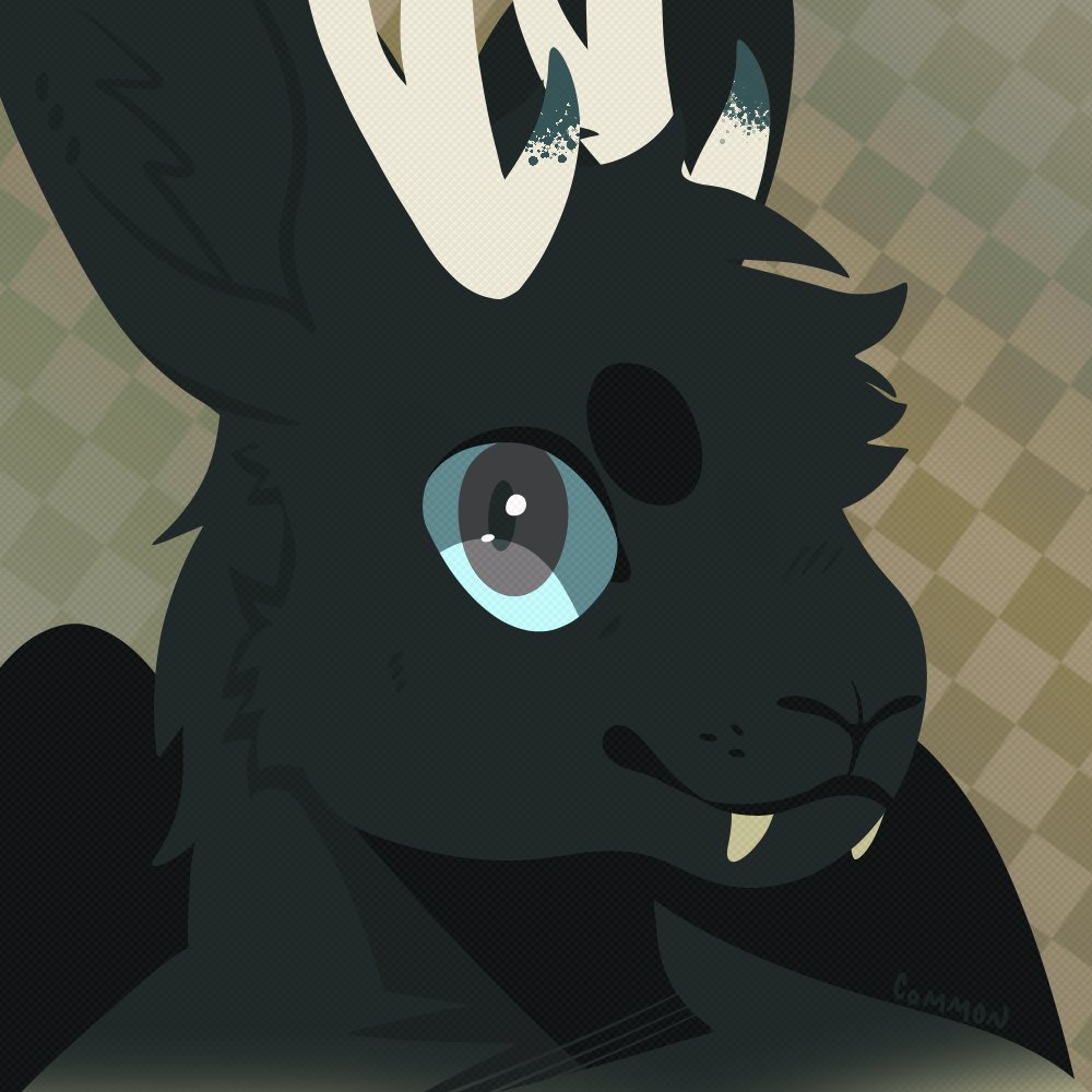 ✶ COMMON ✶ tweet media