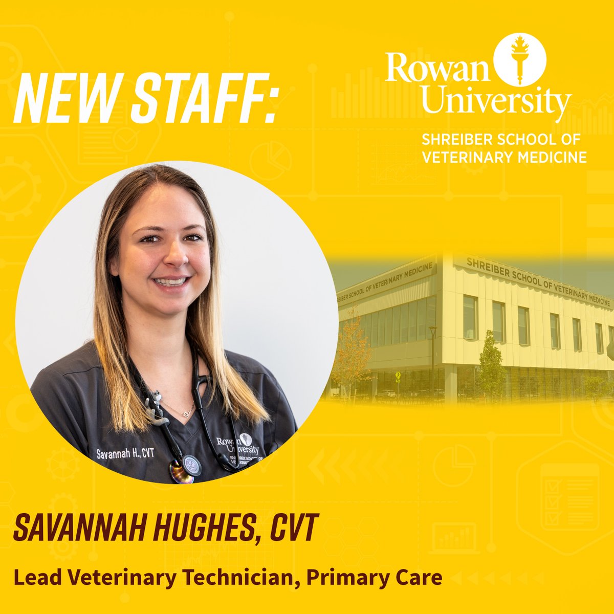 Shreiber School of Veterinary Medicine tweet media