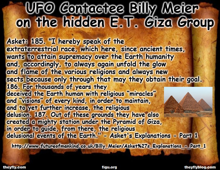 The Plejaren 🛸 tweet media