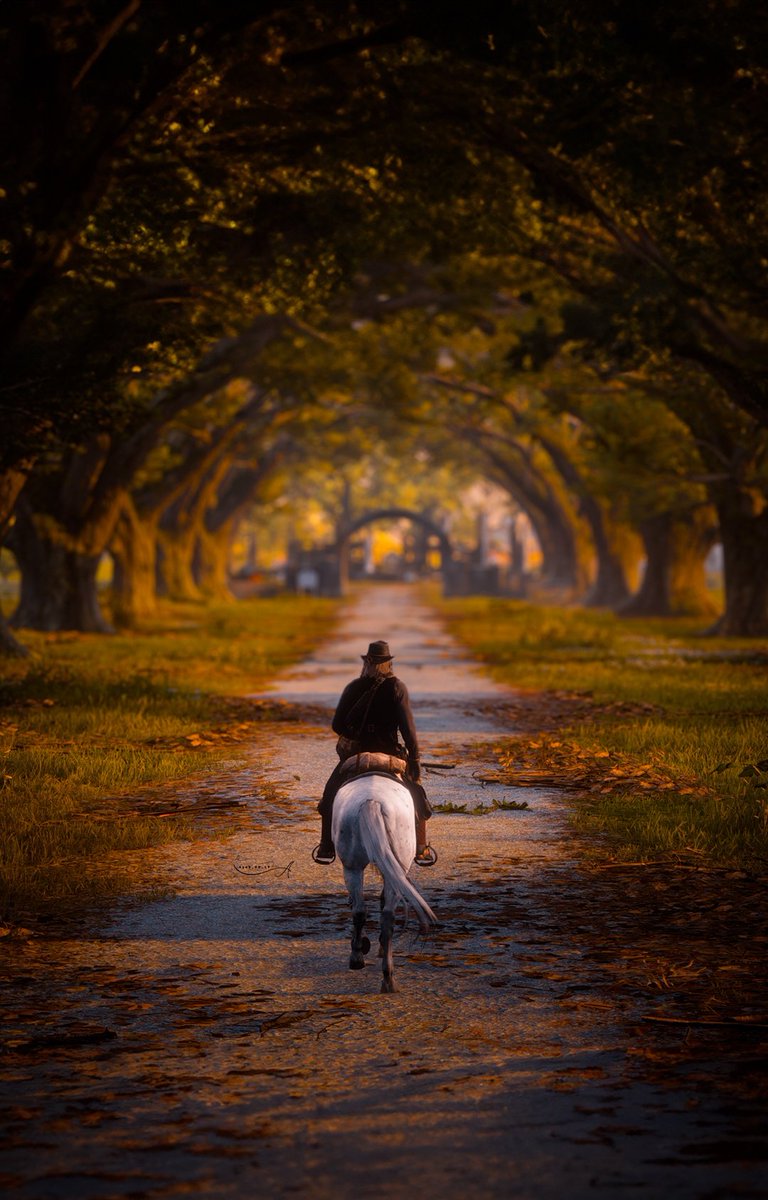 Red Dead Redemption 2 
#TCCFoliage
