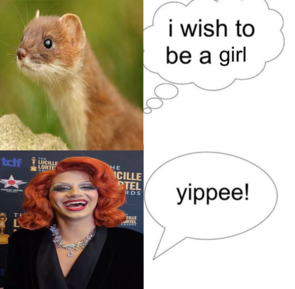 lio toot ♥️🥀 tweet media