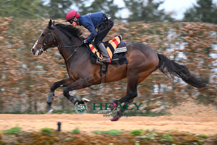 Pat Healy tweet media