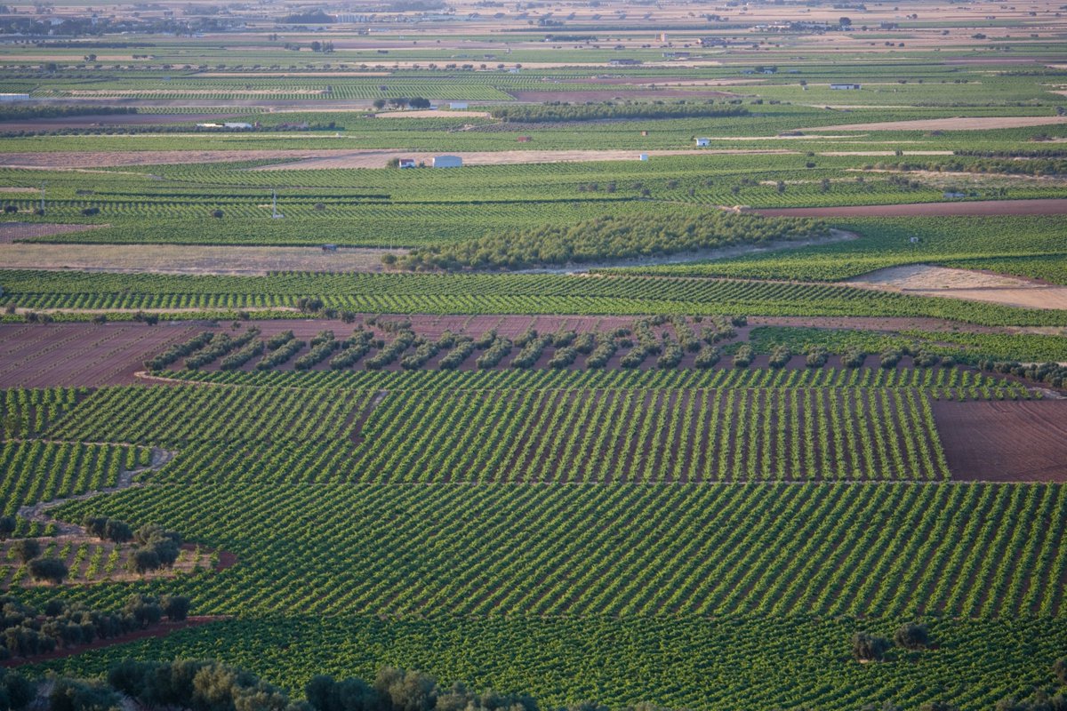 Spain in Canada tweet media