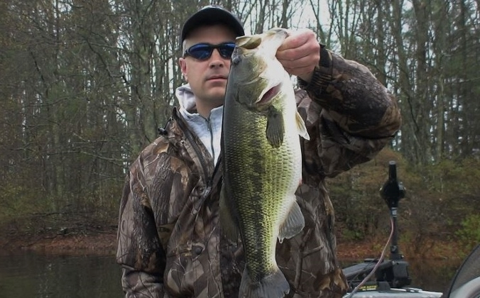 Loaded For Bass tweet media