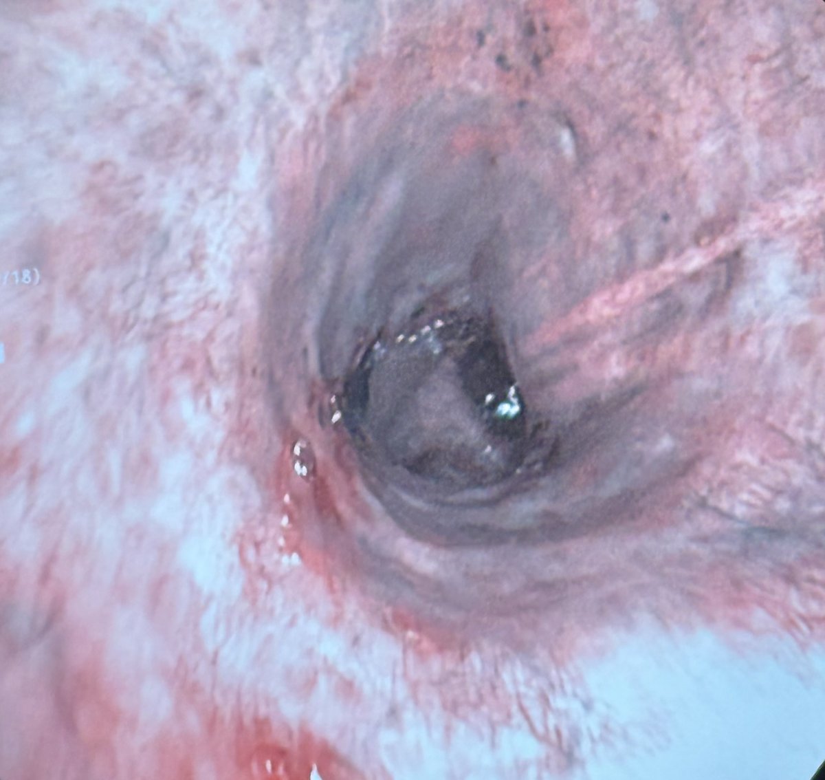 Ali Al-Khafaji tweet media