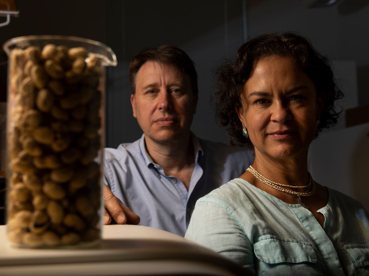 UGA Agricultural & Environmental Sciences tweet media