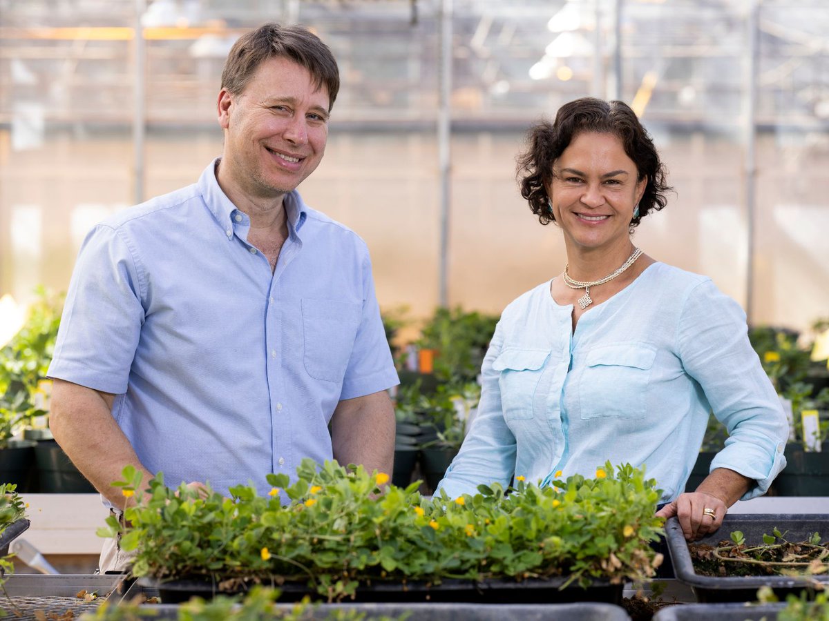 UGA Agricultural & Environmental Sciences tweet media