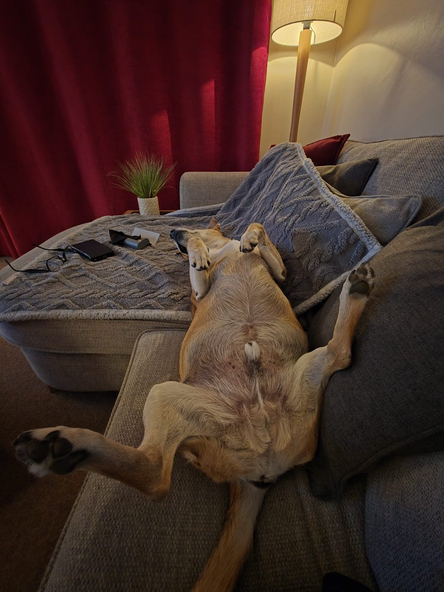 Shaun Cole tweet media