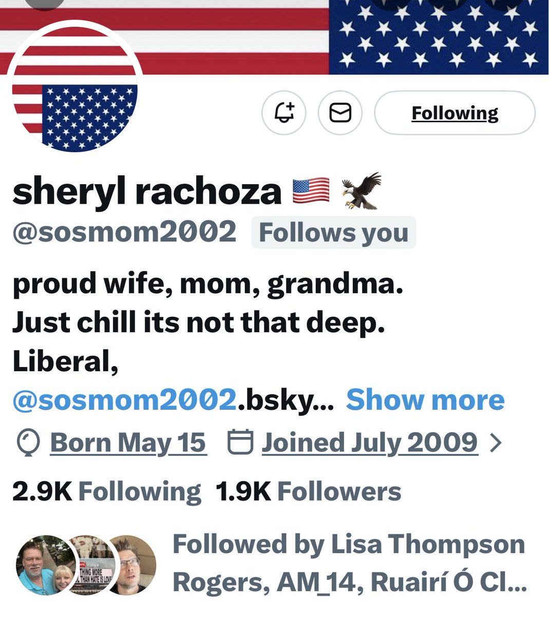 Turquoise Cat tweet media