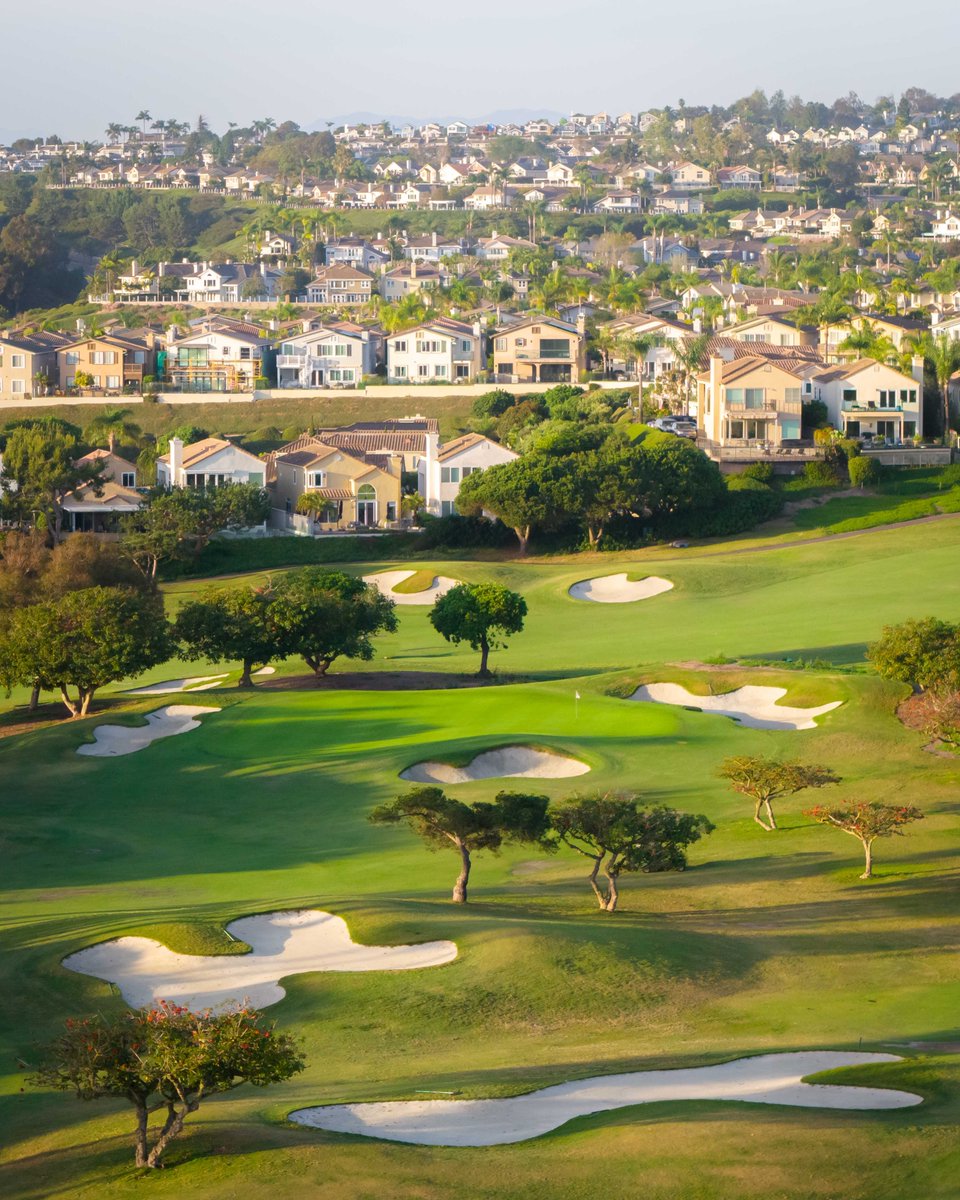 Patrick Koenig tweet media